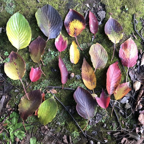 近藤直司(sax)・栗田妙子(pf) デュオ